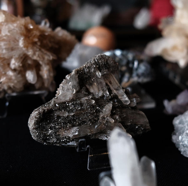 Pyrite on Quartz | Black Mount Onigiri