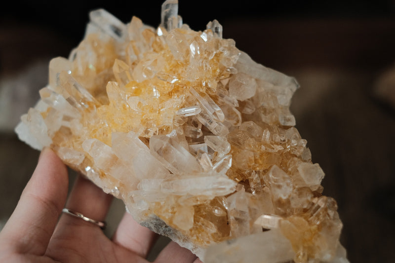 Citrine Quartz Cluster  | Yellow Flower