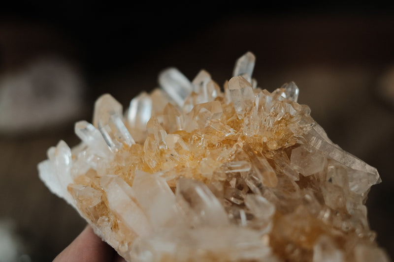 Citrine Quartz Cluster  | Yellow Flower